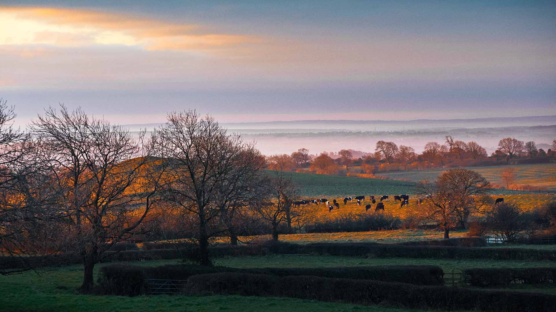 Agricultura Sostenible