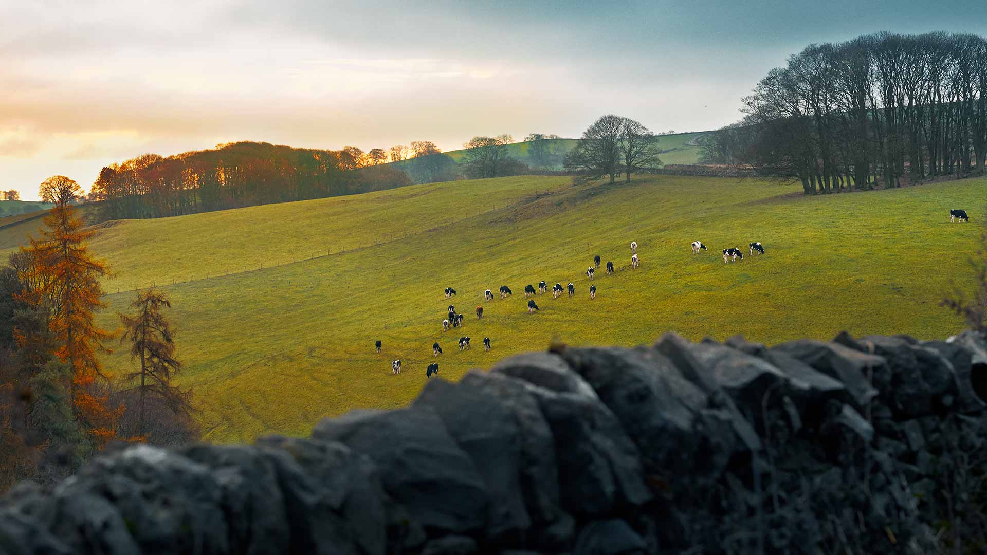 Estrategia Medioambiental